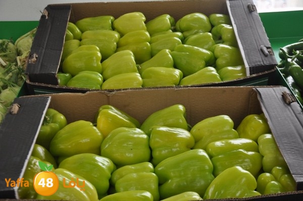 souq yaffa 0123 (37).JPG